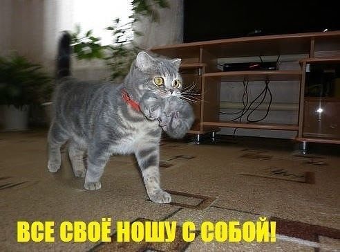 getImage (5).jpg