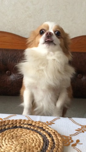 image.jpg