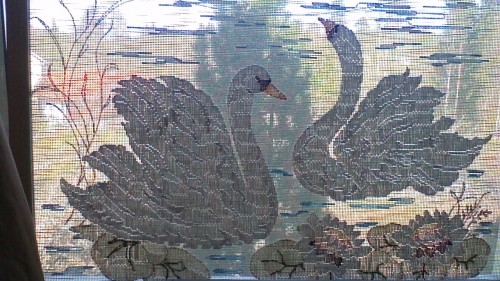 WIN_20140427_122953.JPG