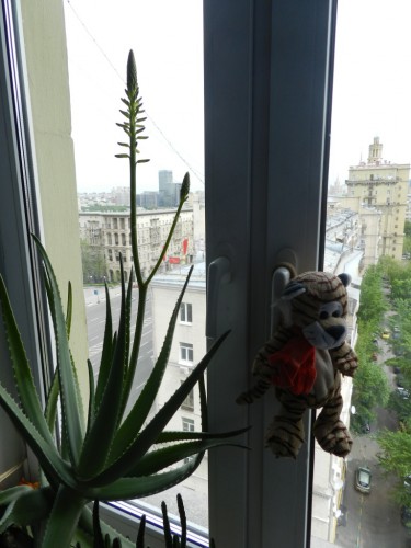 Копия сравнения 022.jpg