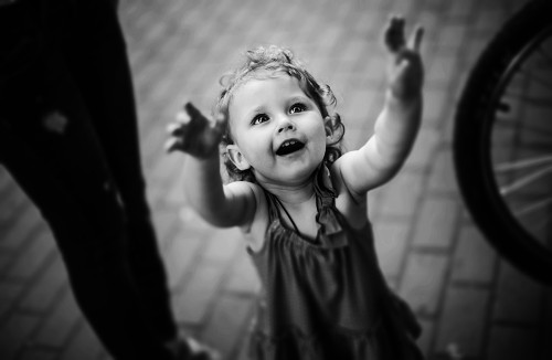 IMG_6568n.jpg