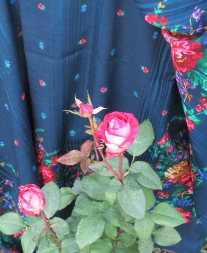 Пионы (Цветочная кайма)14а, восстановл. Елена Фаворитова, рис. К. Е. Аболихин - 1936 год